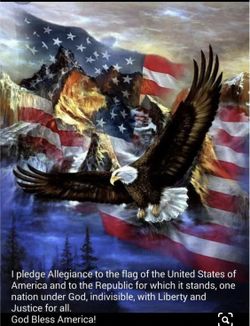 I Pledge of Allegiance to the flag