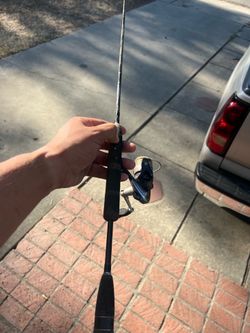 Californian trout rod