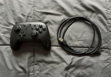 Nintendo Switch Pro Controller