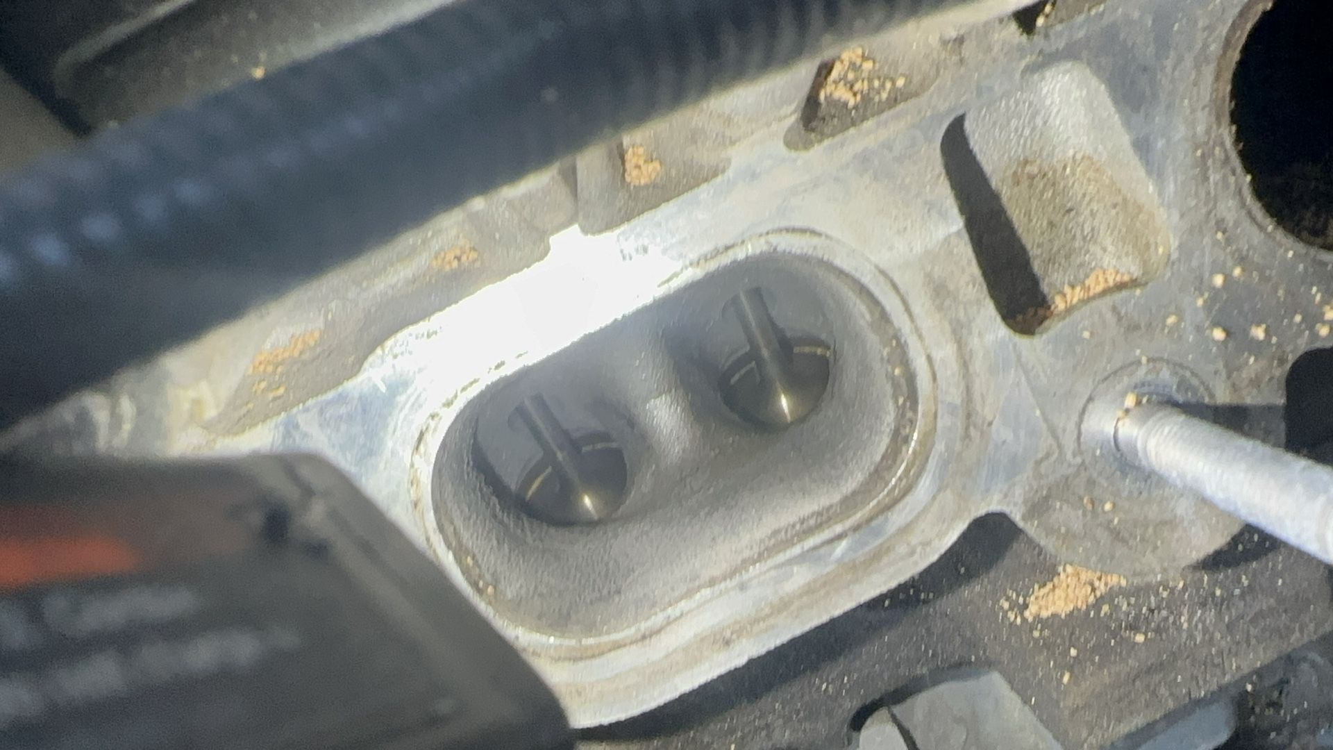 Intake Valve Cleaning Service N54 And All Cars 