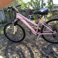 Pink 24 Inch SCHWINN Women's Bike 