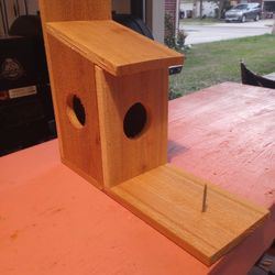 Squirrel 🐿️ Feeder 