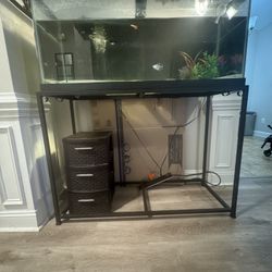 75 Gallon STAND For Fish Tank 