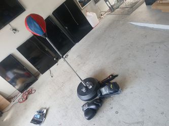 Punching Bag 