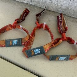 3x Stagecoach ( CORRAL PIT) 2025 SATURDAY/ SUNDAY Portion (PIT Wristbands) -$1,600 EACH