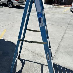 Werner 6” Ladder
