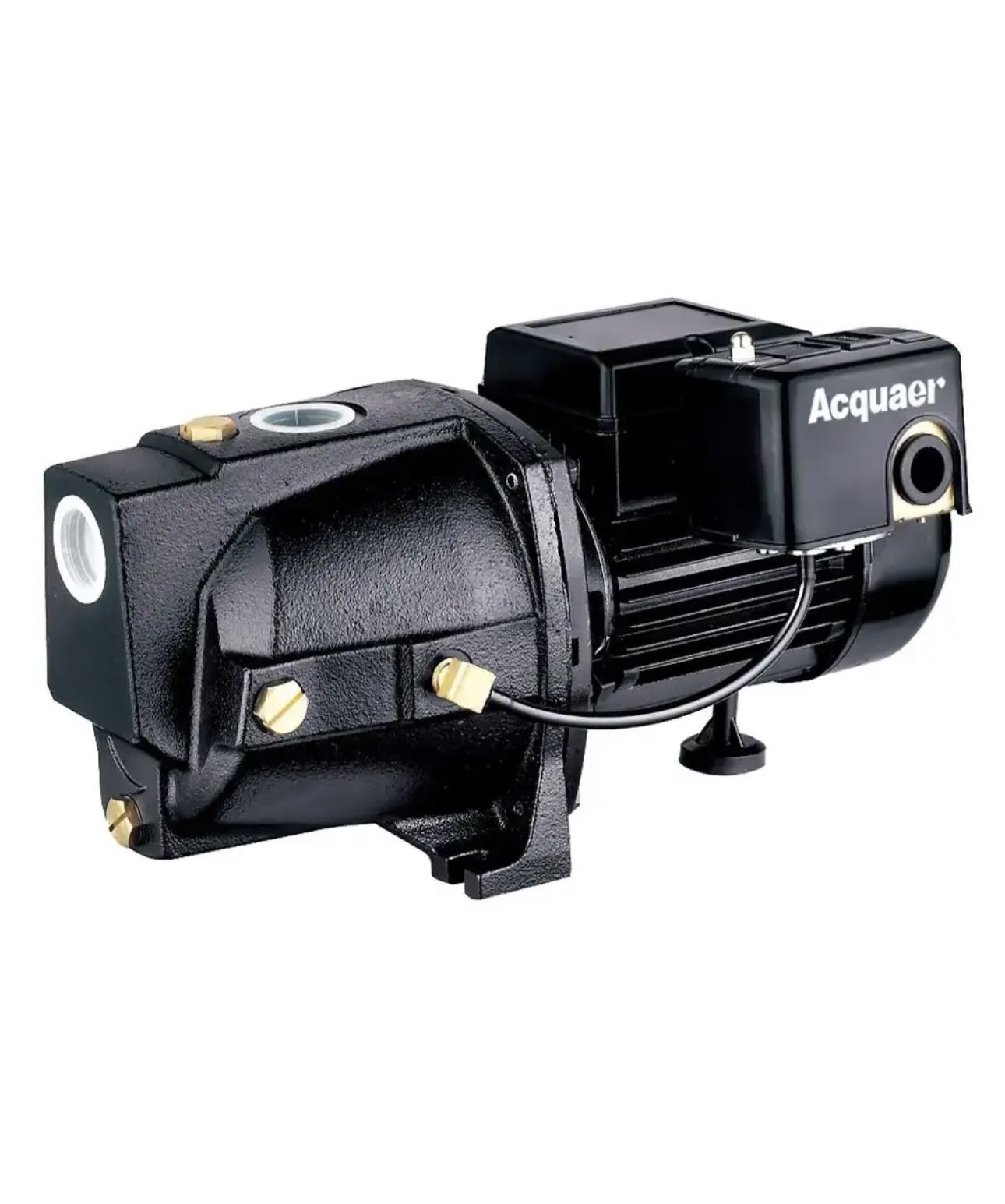 Shallow And Deep Well Jet Pump 1 HP Dual Voltage Cast Iron Pressure Switch Automatic.