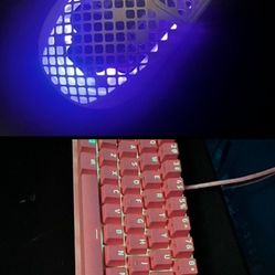 Razer Keyboard, Steelseries Mouse