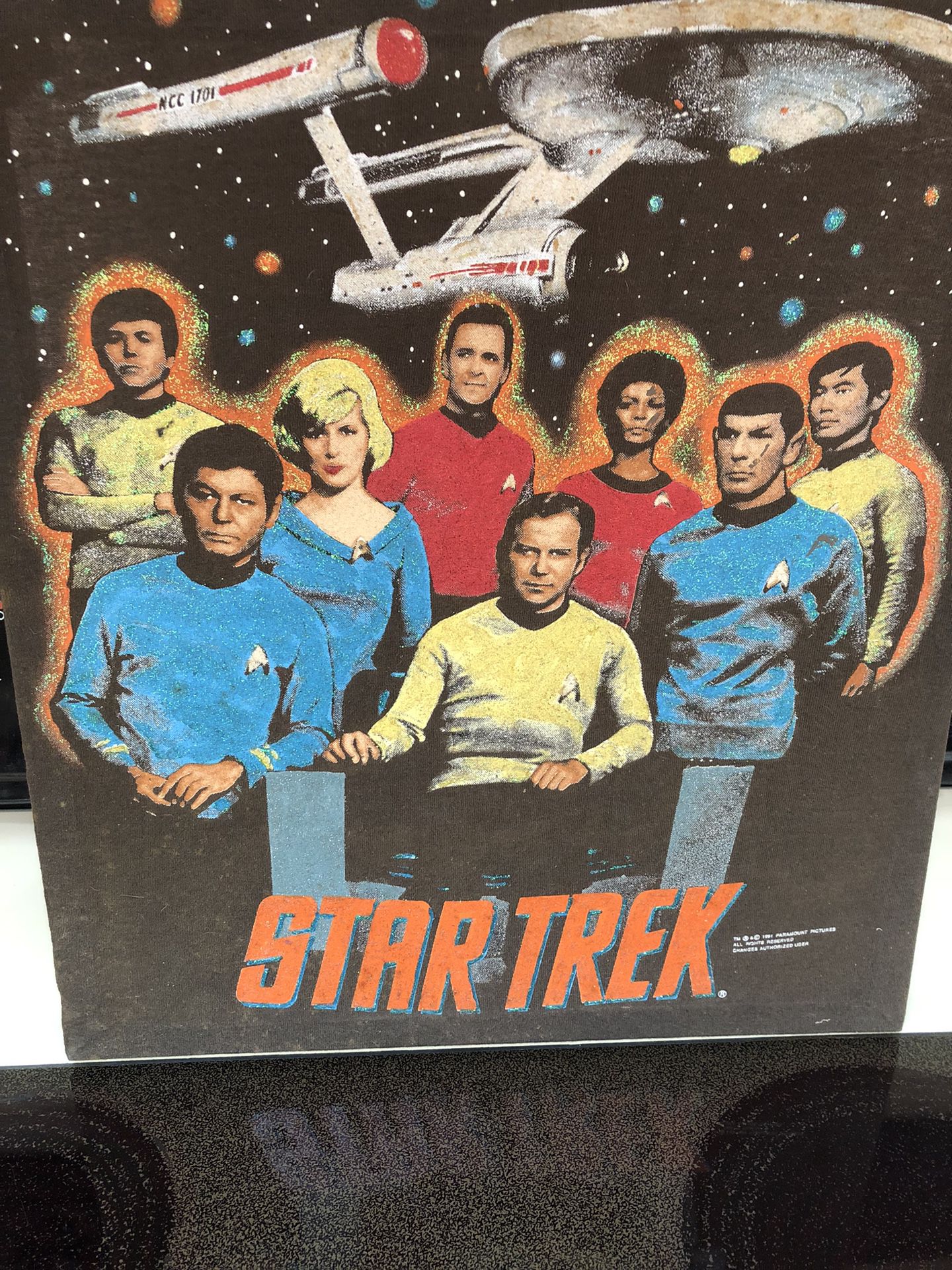 Star Trek Canvas TV Trekkies and Trekkers