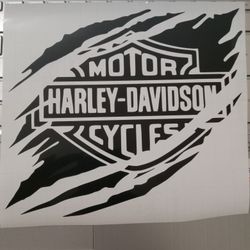 Vinyl Decals That Can Be Put On Your Bike