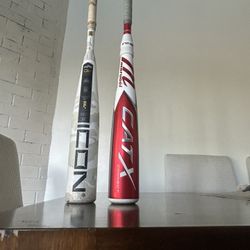 Baseball Bat 