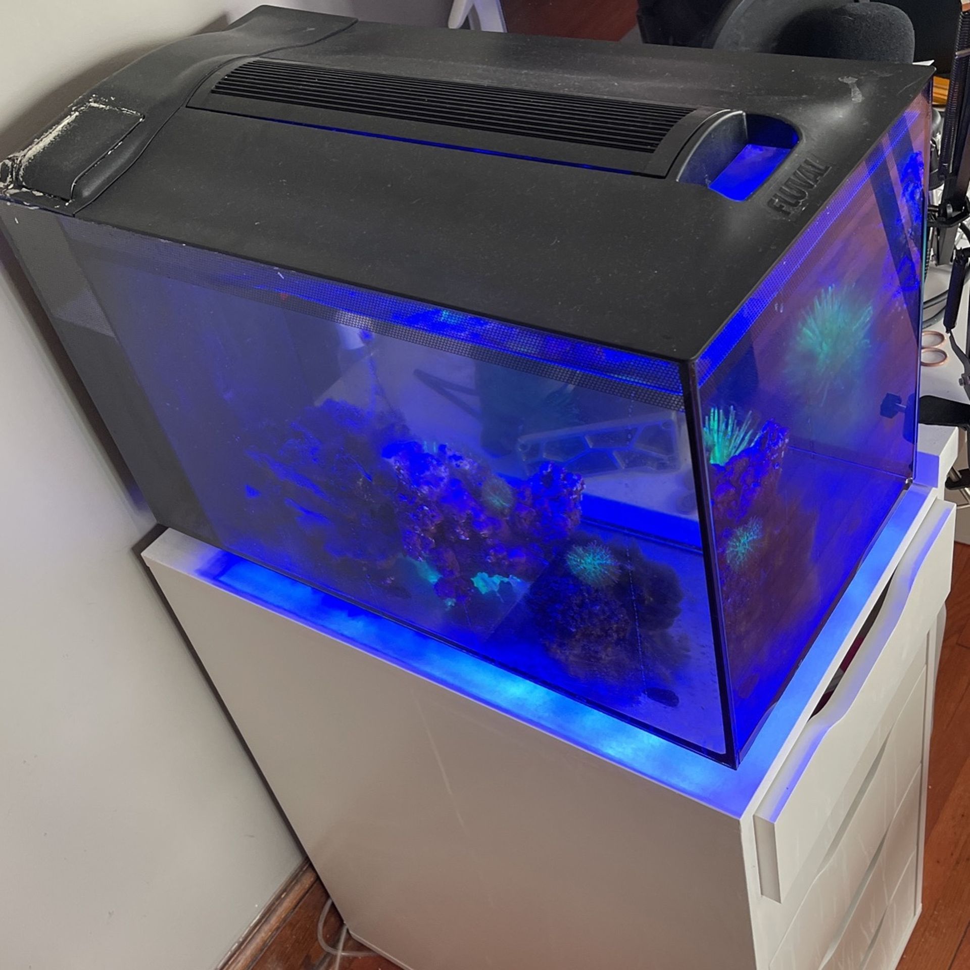 Fluval Sea Fish Tank 13.5 Gallon