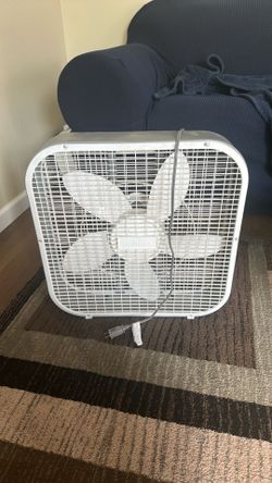 Fans