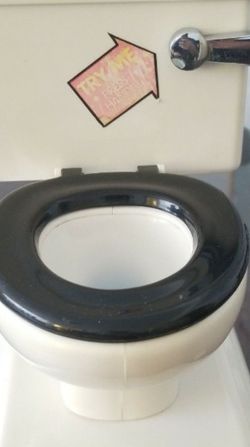 The Toilet Bank with FLUSHING Sound Piggy Bank