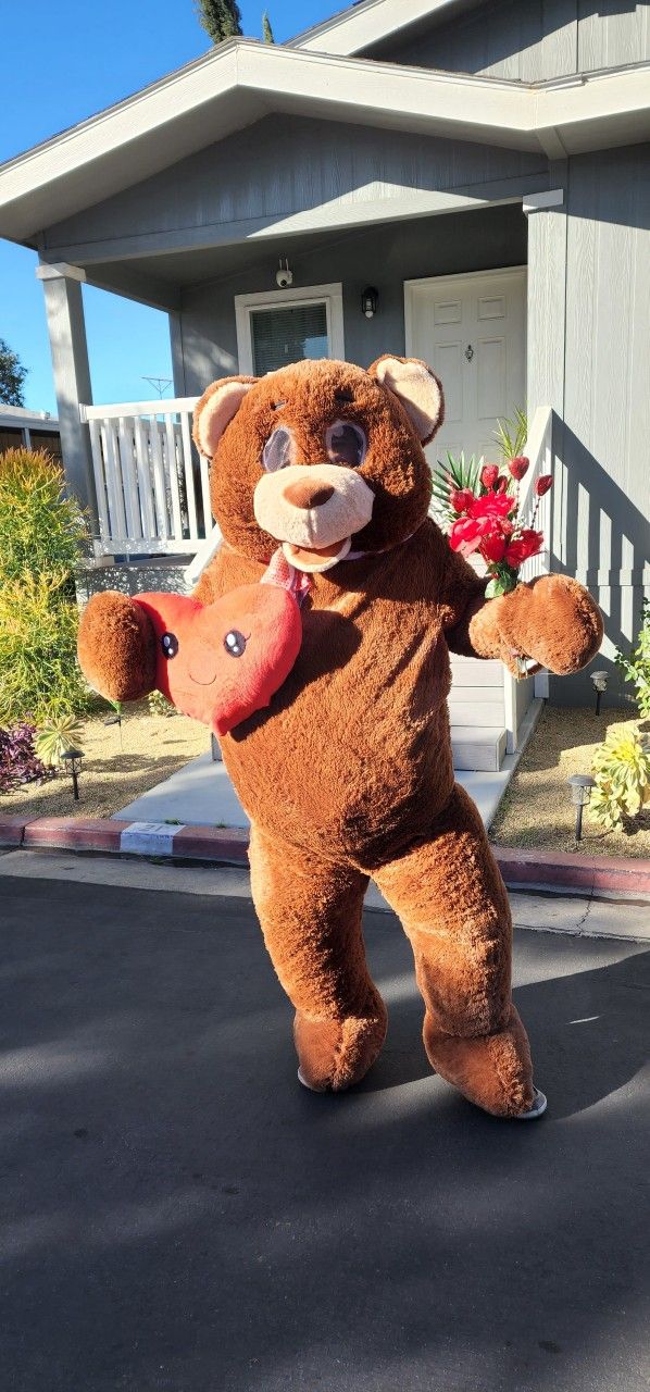 Valentines Teddygram Delivery Service 