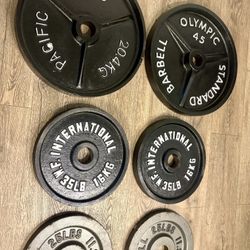  Olympic Full Set Of Cast Iron Weight Plates  from 2.5s to 45s  Pounds Like NEW (reconditioned), [Total: 245 lbs].   