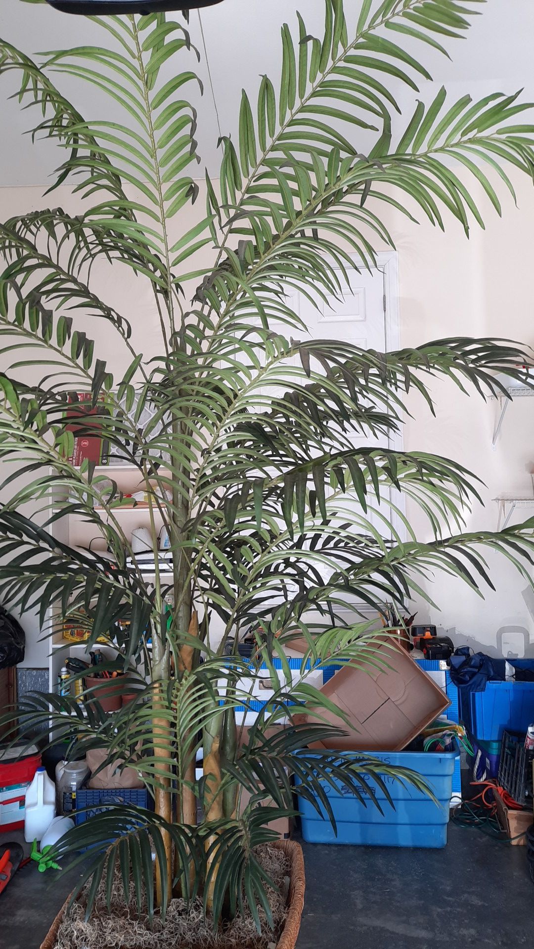 Artificial 10' Palm tree with 5 plants per pot including large custom basket. Leaf spread is approximately 5 to 6'. Hard to find!