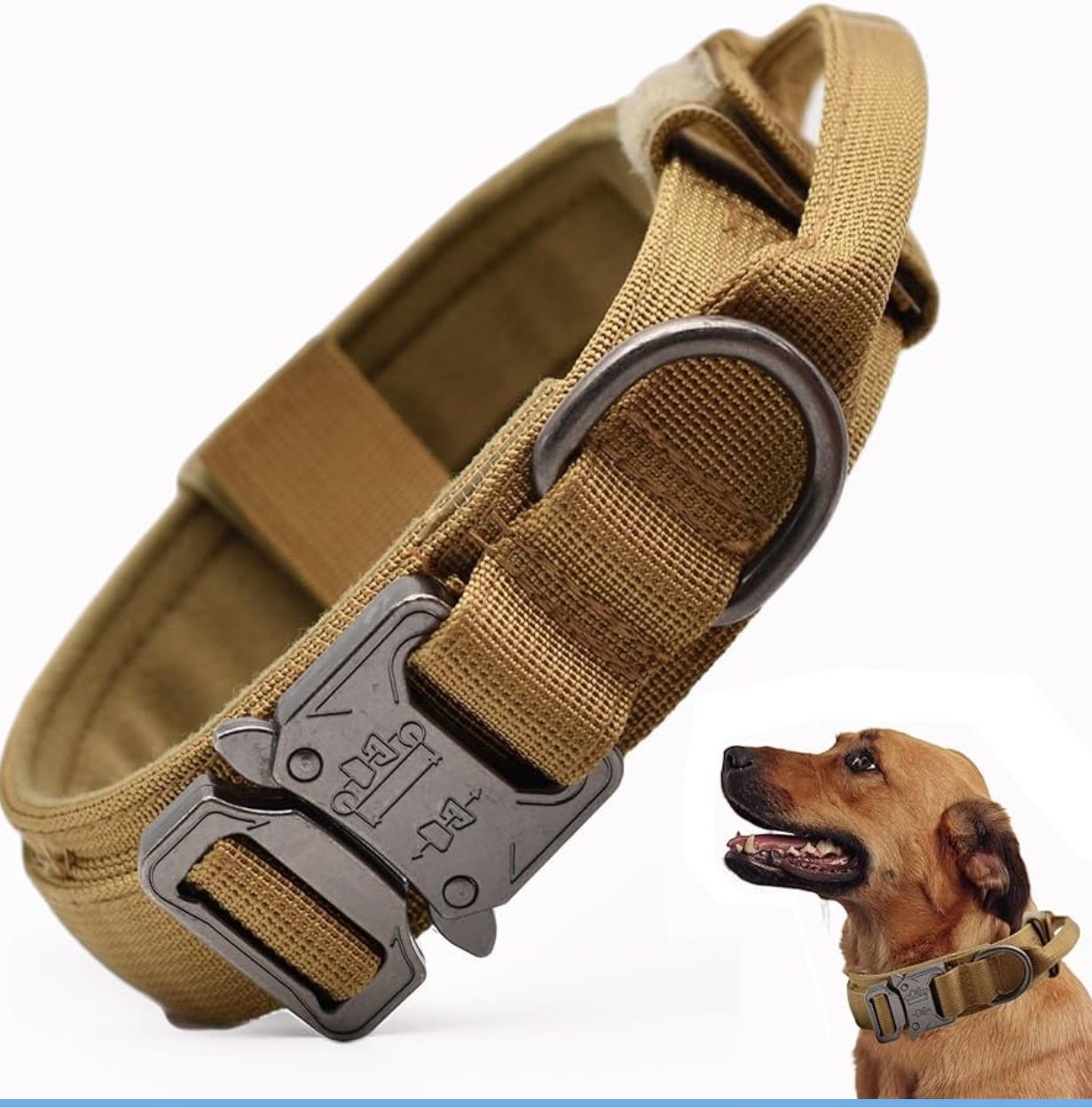Dog Collar/Rusty