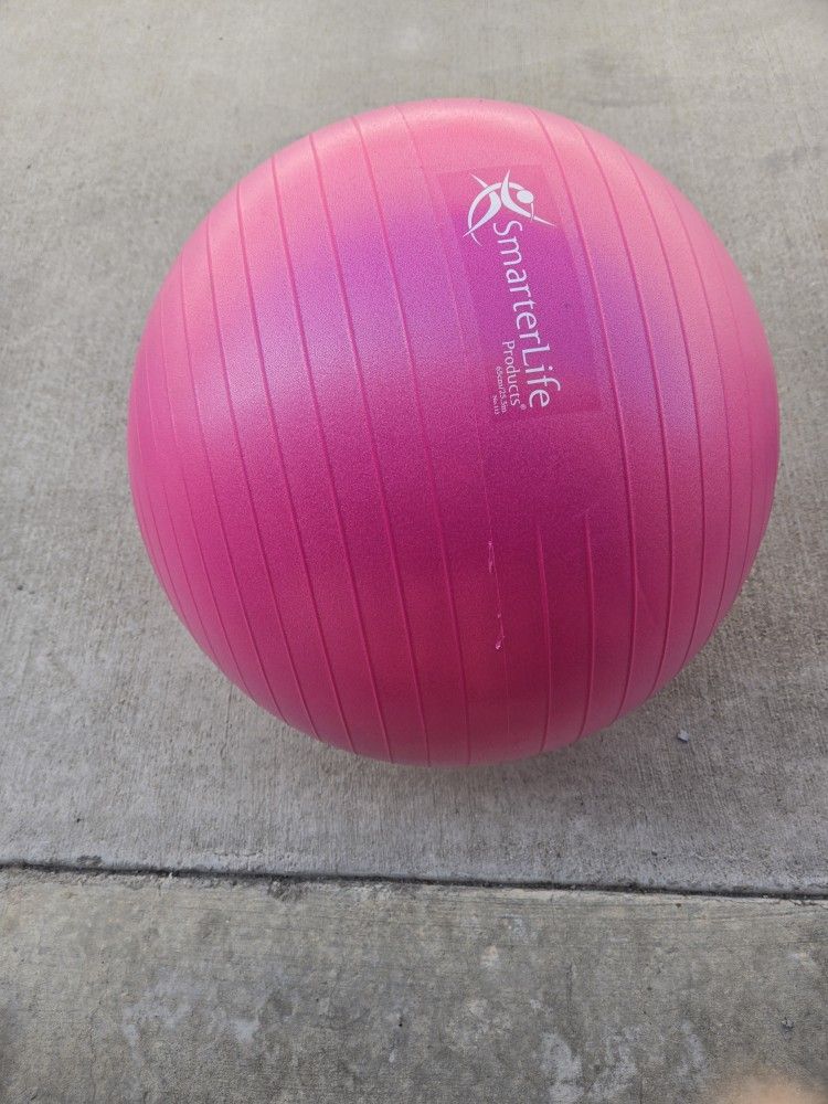 Smarter Life Exercise Ball 65 Cm/25.5 Inches