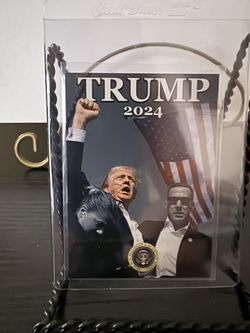 Assassination Attempt - Donald Trump