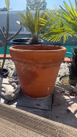 Medium size clay pot