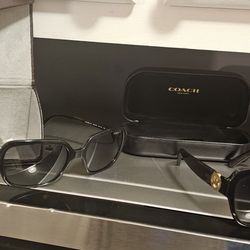 Vogue Sunglasses