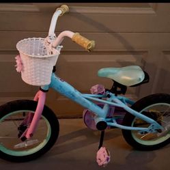 14 Inch Girl Bike