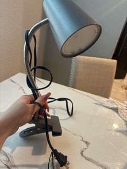 Table clip lamp