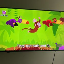 50 Inch Roku Tv 