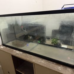 125 Gallon Tank