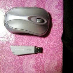 Microsoft Wireless Mouse