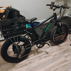 Electric Bike