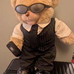Fully Dressed Build A Bear Teddy 