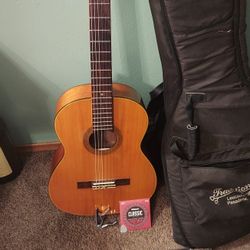 Acoustic Guitar 