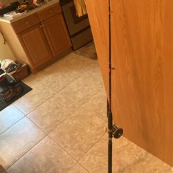 Penn Mariner Rid And Reel With Steel Line