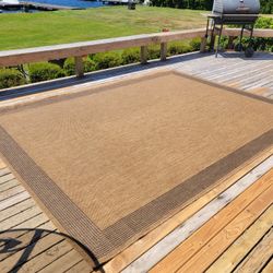 Indoor/Outdoor Jute rug