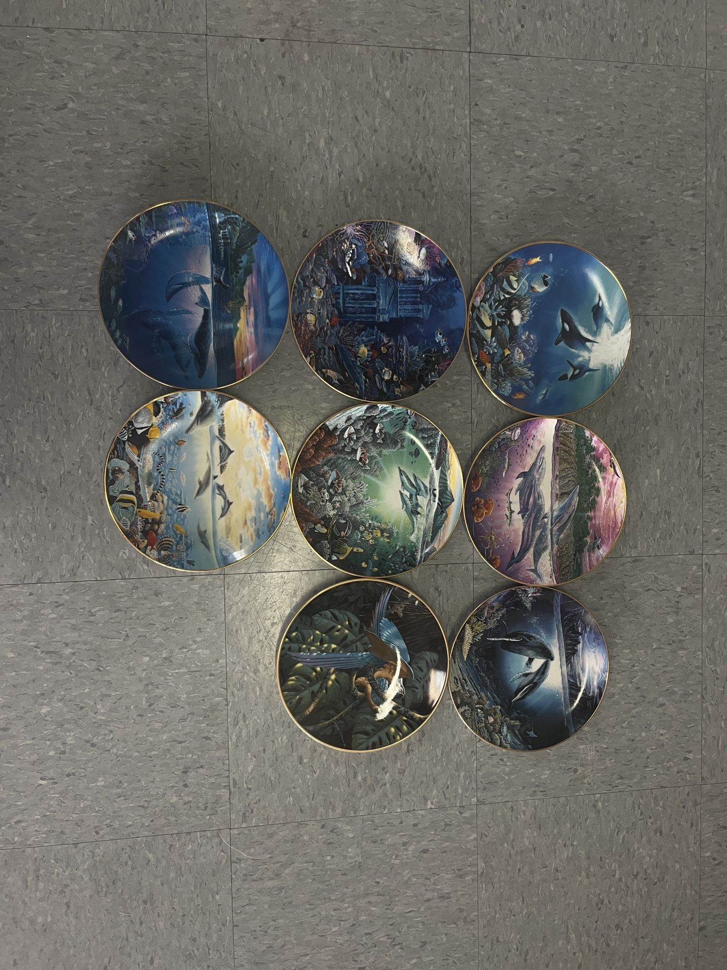 Collectors plates