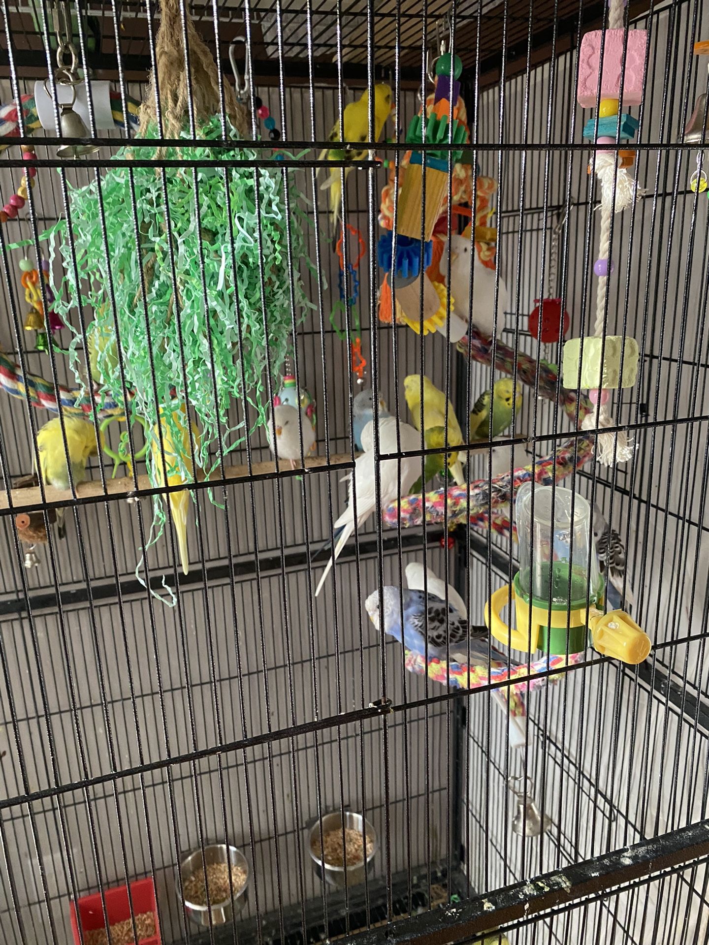 cage