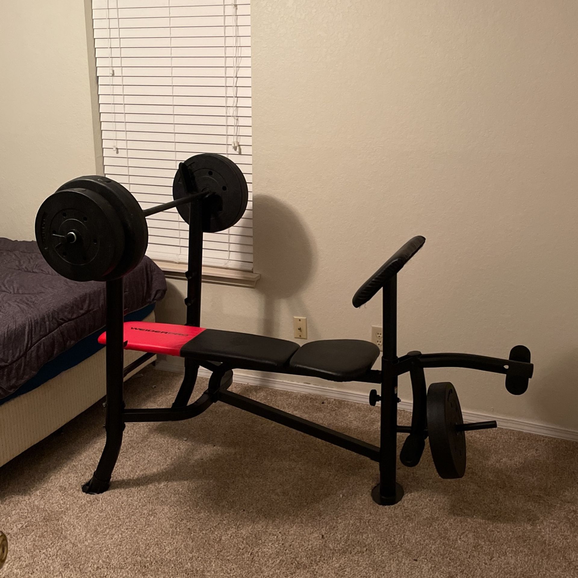 Weight Bench + Weights