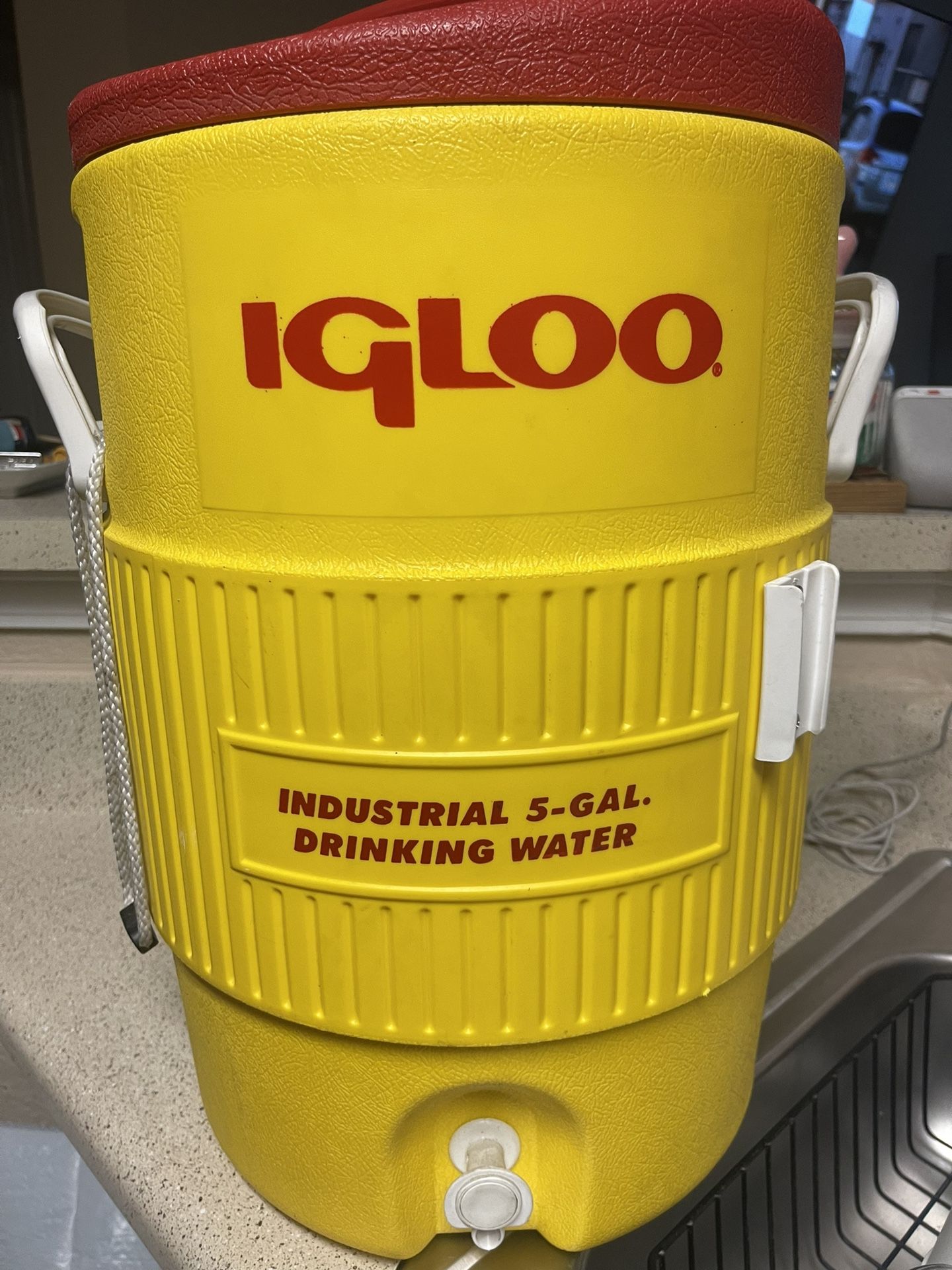 Igloo Drinking Cooler