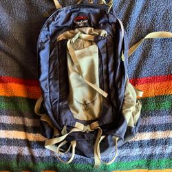 Osprey Backpack 