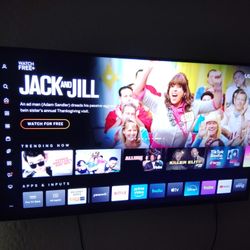Vizio 50in Tv