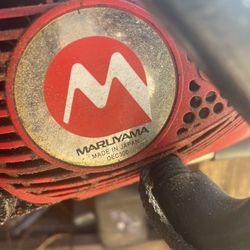 Chainsaw Maruyama