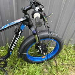 Seeker 24, E-Bike 