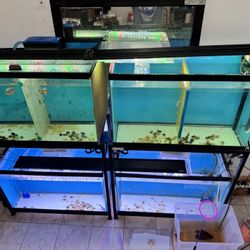 Aquarium Light LED 6ft