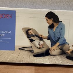 Baby Bjorn Baby Bouncer 