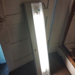 Light 