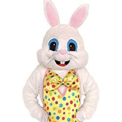 Easter bunny Character