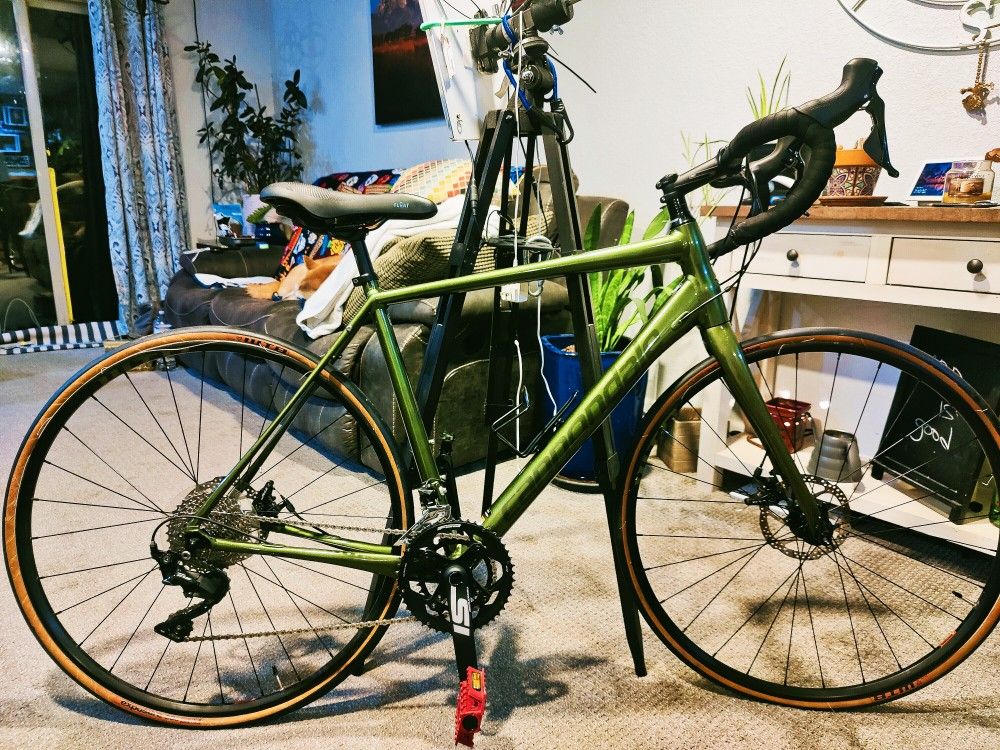 2019 Synapse Cannondale Bicycle