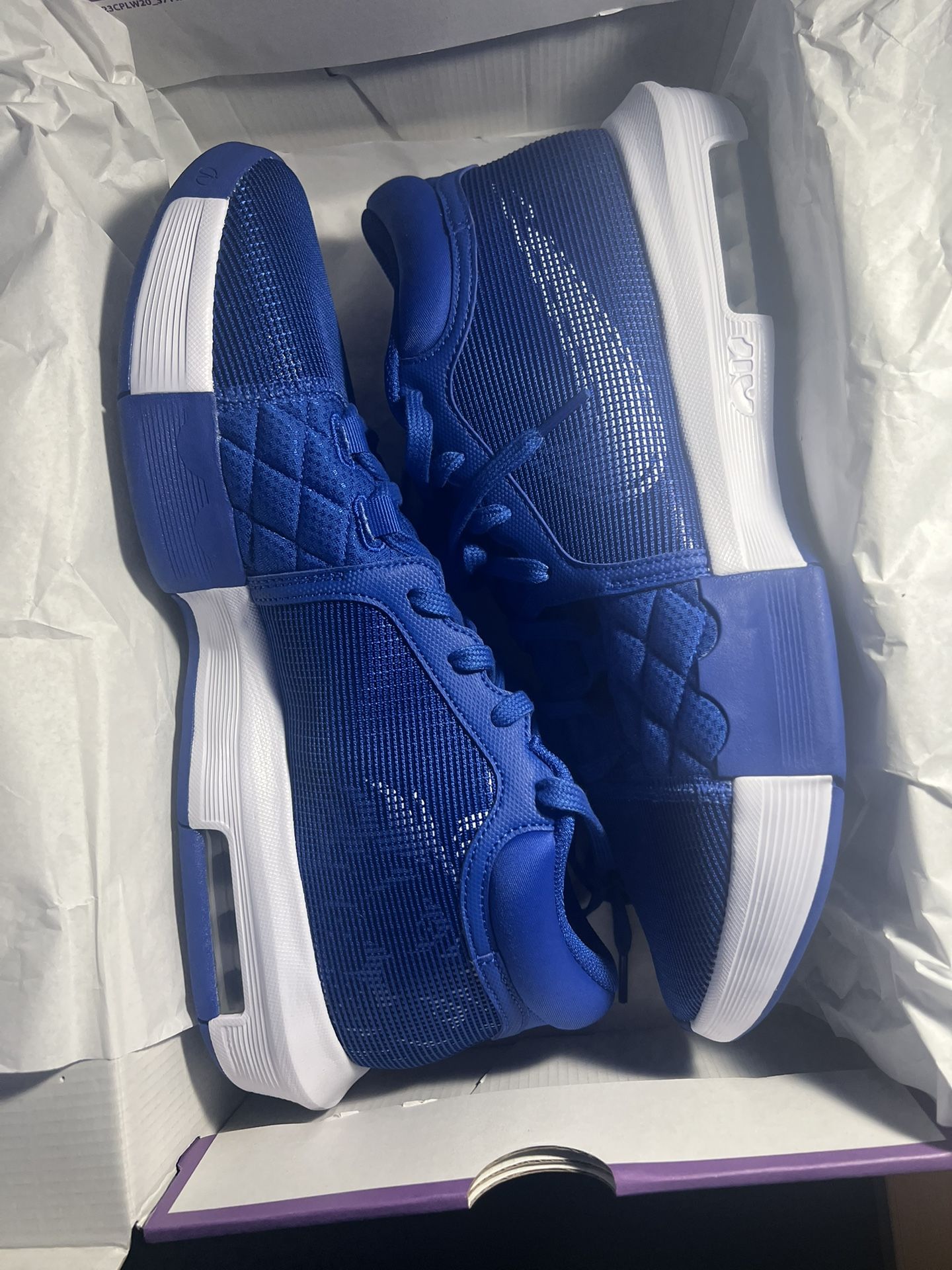 Nike Lebron Witness VIII TB